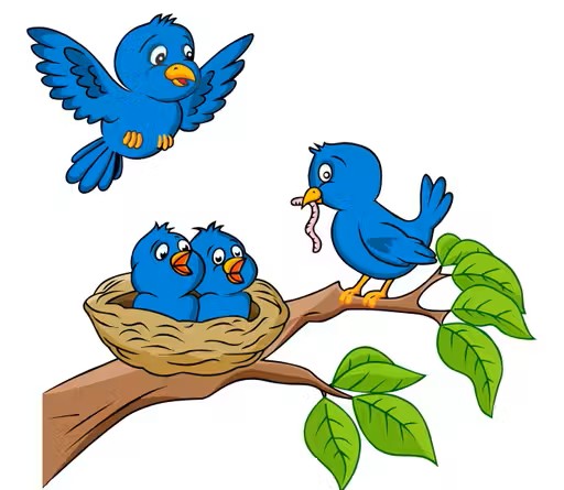 Wall Stickers | Decorative Wall Sticker for Living Room, Bedroom, Office & Hall | Beautiful Birds Design Home Décor